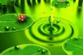 /album/galeria/green-dawn-copia-jpg/